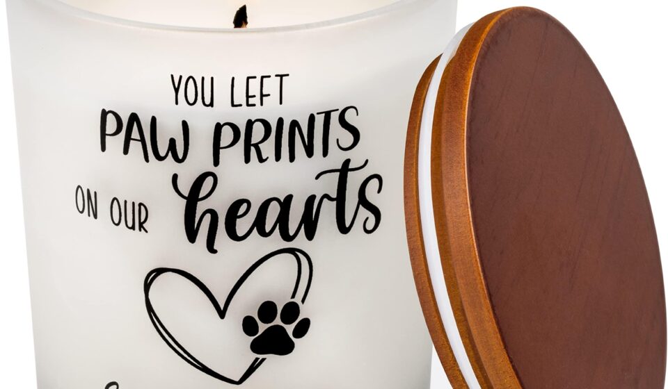 Jack Birtwell Baseball Norwell MA Obituary Death – Connecticut Sacred Heart University Student Passed Away